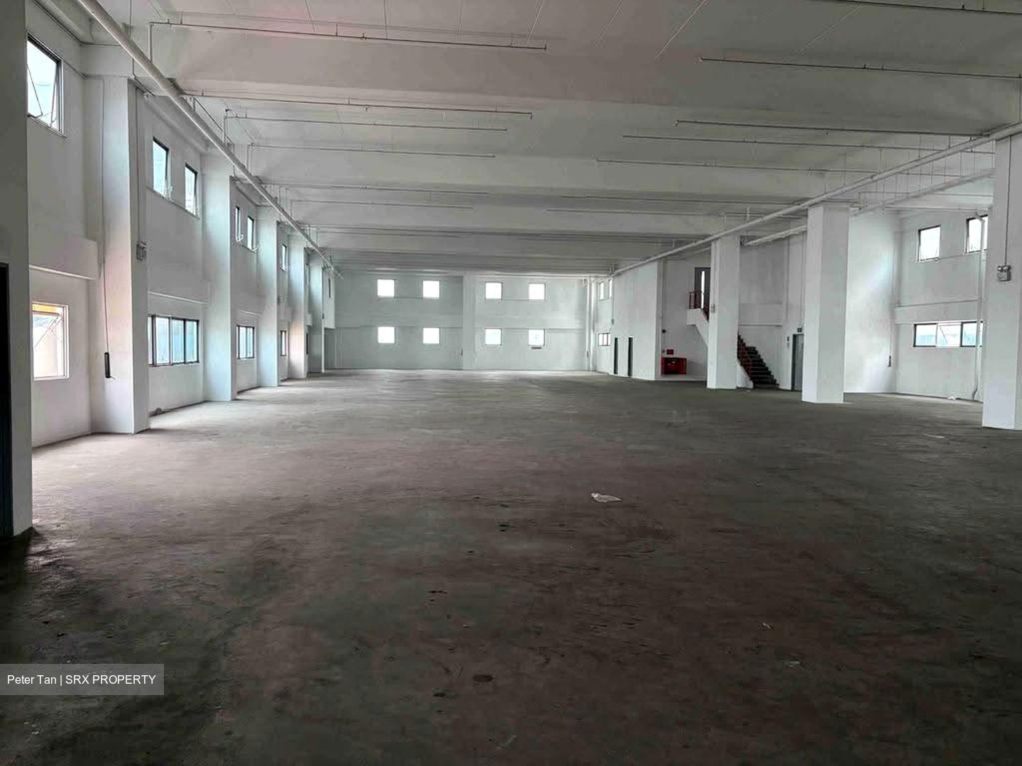 Woodlands Spectrum (D25), Factory #639394981